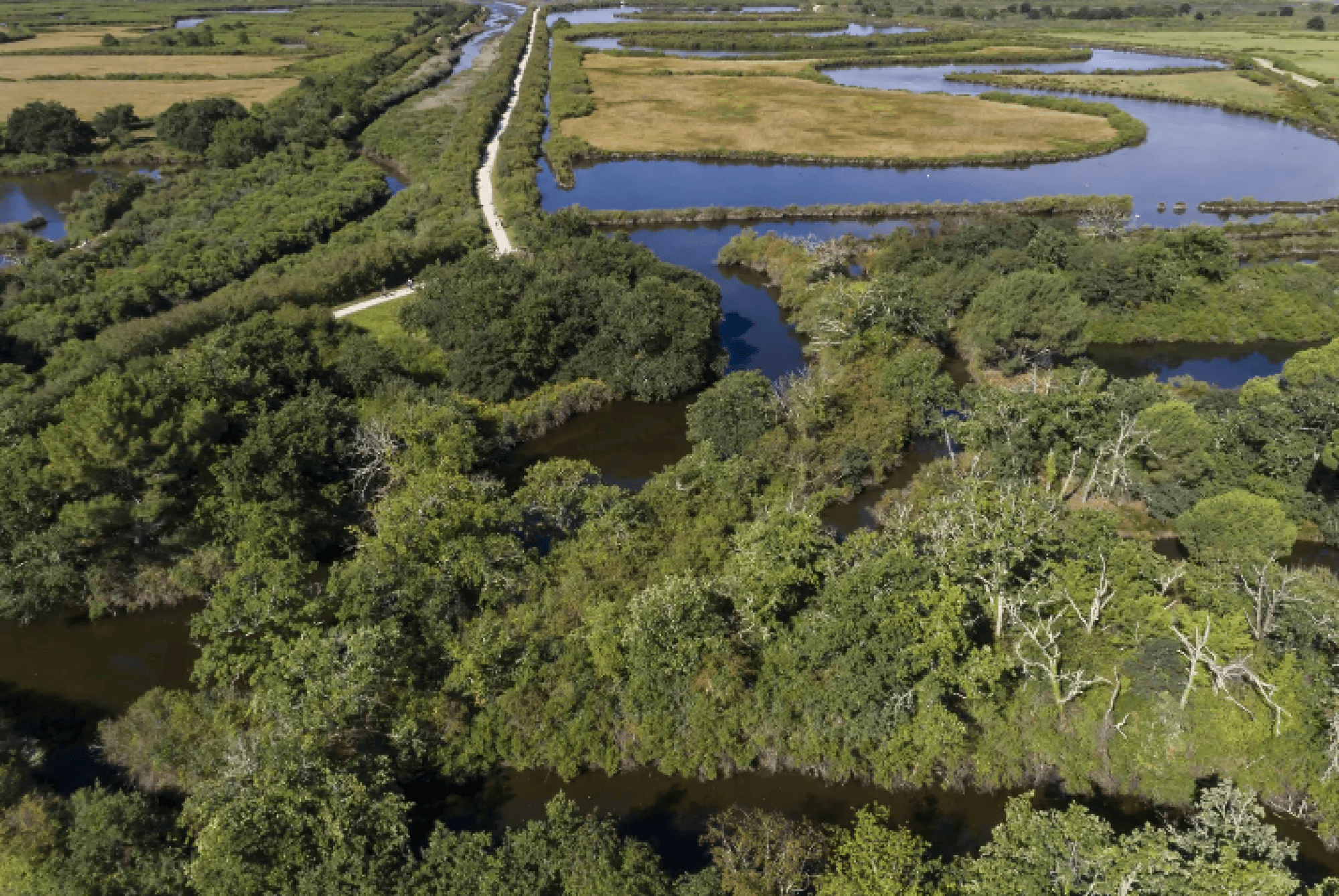 SPACE BASSIN - Paysagiste