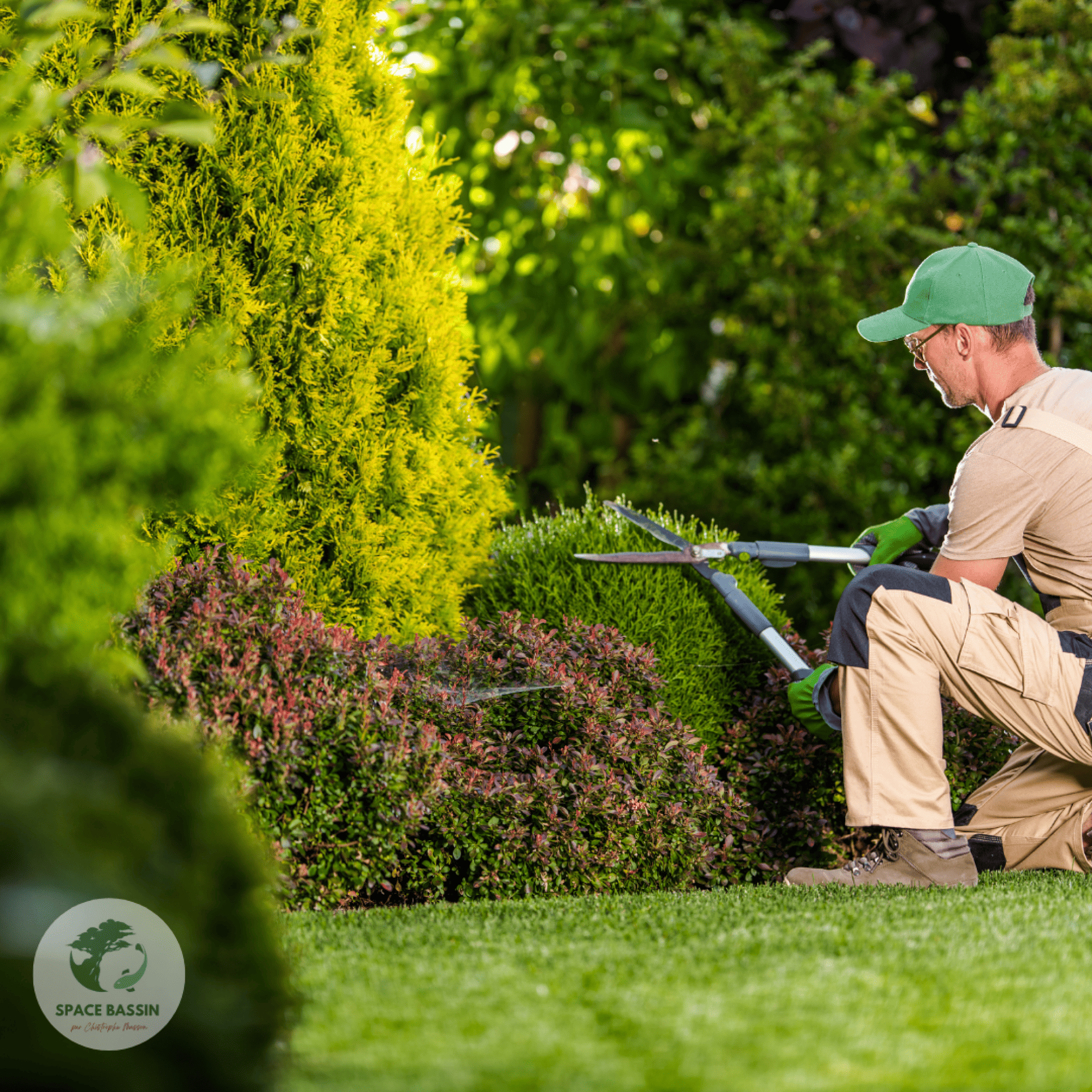 SPACE BASSIN - Paysagiste