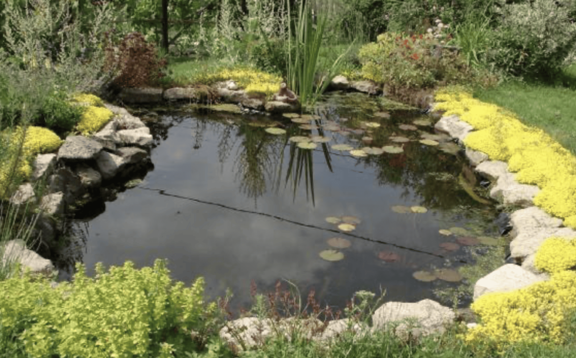 Space Bassin - Bassin d'extérieur