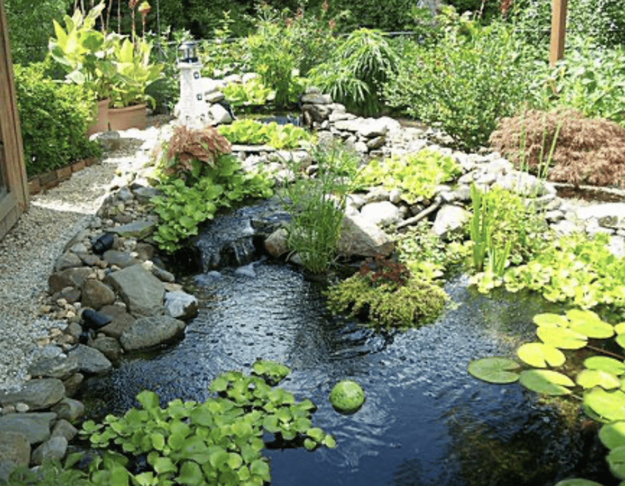 SPACE BASSIN - Paysagiste