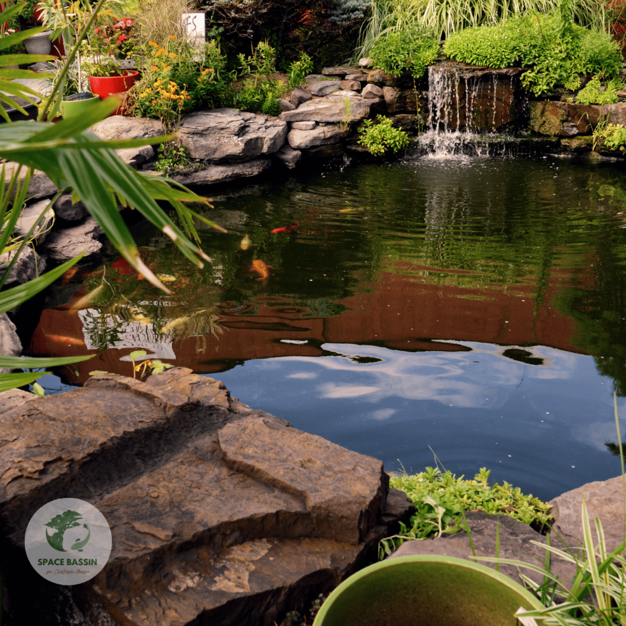 SPACE BASSIN - Paysagiste