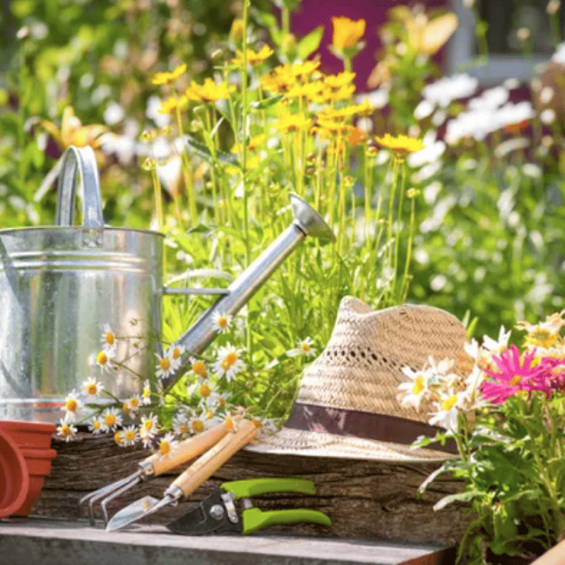 SPACE BASSIN - Paysagiste