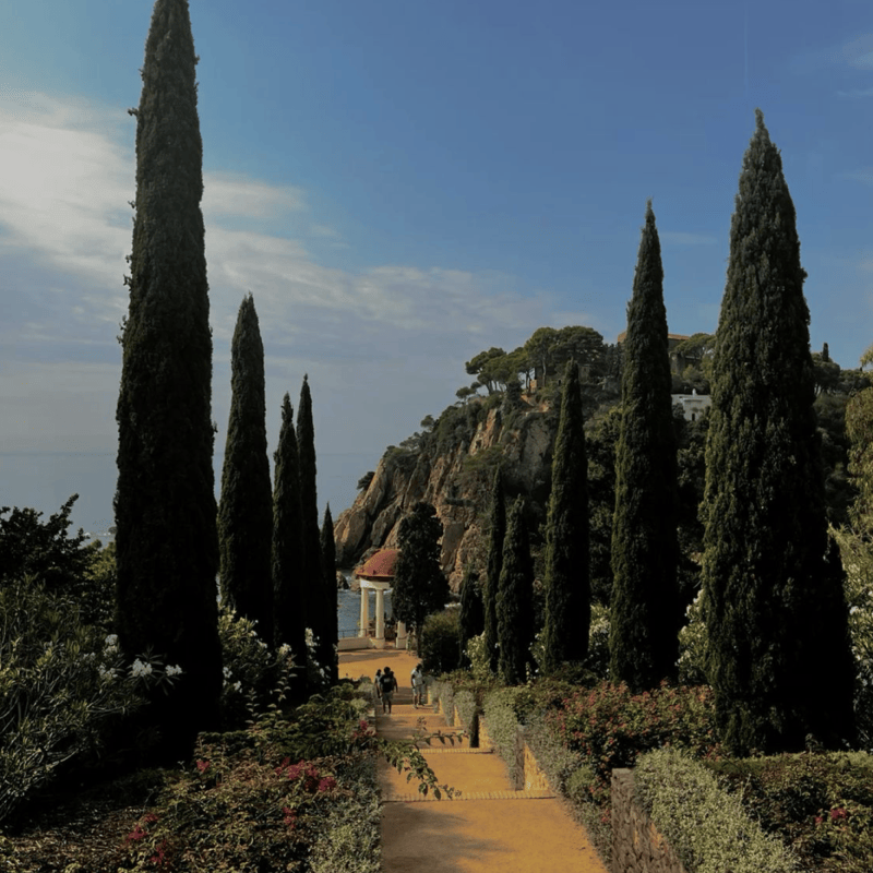 SPACE BASSIN - Paysagiste