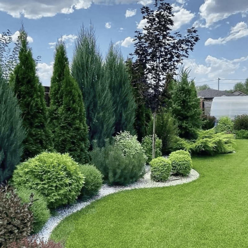 Conception de jardin par un architecte paysagiste bassin d'Arcachon 