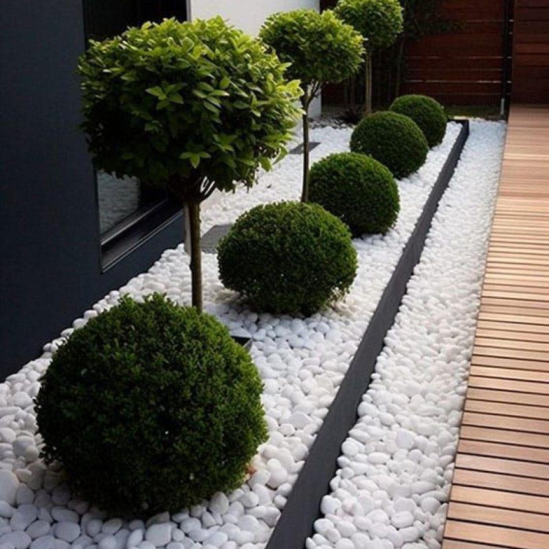 SPACE BASSIN - architecte paysagiste Audenge 